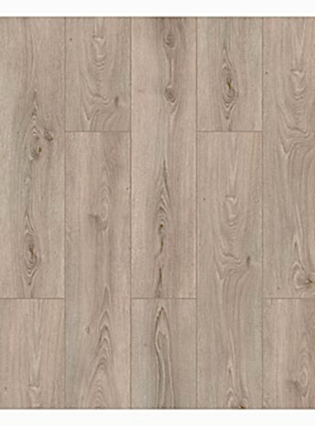 Floorpan Prime Erasmus